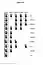 Fig. 62 - Endophytes and related methods