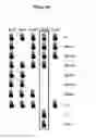 Fig. 63 - Endophytes and related methods