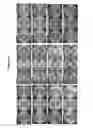 Fig. 64 - Endophytes and related methods