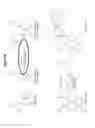 Fig. 68 - Endophytes and related methods