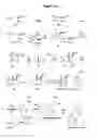 Fig. 79 - Endophytes and related methods