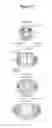 Fig. 92 - Endophytes and related methods