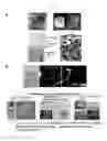 Fig. 02 - Method for preparing chondrocytes