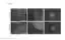 Fig. 06 - Induction of motor neurons from pluripotent stem cells