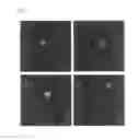 Fig. 10 - Induction of motor neurons from pluripotent stem cells