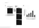 Fig. 14 - Induction of motor neurons from pluripotent stem cells