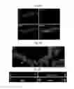 Fig. 10 - Generation of inner ear auditory hair cell