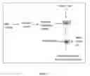 Fig. 12 - IN VITRO SYSTEM FOR GENERATION OF ANTIGEN-SPECIFIC IMMUNE RESPONSES