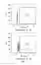 Fig. 02 - Methods for in vitro memory B cell differentiation and transduction with VSV-G pseudotyped viral vectors