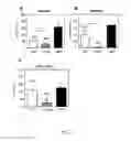 Fig. 04 - Tolerogenic dendritic cells, method for their production and uses therof