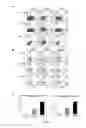 Fig. 06 - Tolerogenic dendritic cells, method for their production and uses therof