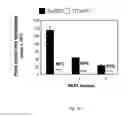 Fig. 16 - Tolerogenic dendritic cells, method for their production and uses therof