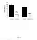 Fig. 17 - Tolerogenic dendritic cells, method for their production and uses therof