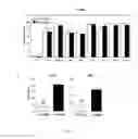 Fig. 18 - Tolerogenic dendritic cells, method for their production and uses therof