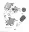Fig. 22 - Tolerogenic dendritic cells, method for their production and uses therof