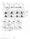 Fig. 24 - Tolerogenic dendritic cells, method for their production and uses therof