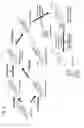Fig. 03 - GLUCURONOSYLTRANSFERASE, GENE ENCODING SAME AND USE THEREOF