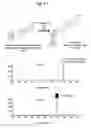 Fig. 05 - GLUCURONOSYLTRANSFERASE, GENE ENCODING SAME AND USE THEREOF