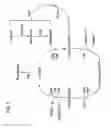 Fig. 22 - Methods and compositions related to thioesterase enzymes