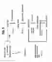 Fig. 24 - Methods and compositions related to thioesterase enzymes