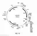 Fig. 34 - Methods and compositions related to thioesterase enzymes