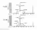 Fig. 58 - Methods and compositions related to thioesterase enzymes