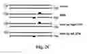 Fig. 04 - Methods and compositions for targeted single-stranded cleavage and targeted integration
