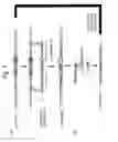 Fig. 08 - Mutant of cellulase-producing microorganism, production method of cellulase and production method of cello-oligosaccharide
