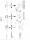 Fig. 10 - Mutant of cellulase-producing microorganism, production method of cellulase and production method of cello-oligosaccharide