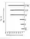 Fig. 15 - Mutant of cellulase-producing microorganism, production method of cellulase and production method of cello-oligosaccharide