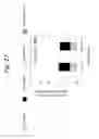 Fig. 18 - Mutant of cellulase-producing microorganism, production method of cellulase and production method of cello-oligosaccharide