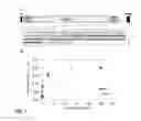 Fig. 02 - Method for immobilizing and releasing microorganism