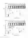 Fig. 03 - Method for immobilizing and releasing microorganism