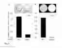Fig. 05 - Method for immobilizing and releasing microorganism
