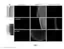 Fig. 05 - Composites material with suspended particles and method of using the same