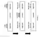 Fig. 06 - Nucleic acid sample preparation