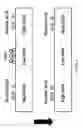 Fig. 07 - Nucleic acid sample preparation