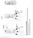 Fig. 03 - Methods and compositions for identifying a peptide having an intermolecular interaction with a target of interest