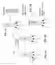 Fig. 08 - Methods and compositions for identifying a peptide having an intermolecular interaction with a target of interest