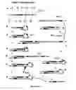 Fig. 07 - Methods of sequencing nucleic acids in mixtures and compositions related thereto