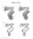 Fig. 12 - Site-specific induction of bimolecular quadruplex-duplex hybrids and methods of using the same