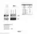 Fig. 13 - Biodegradable and clinically-compatible nanoparticles as drug delivery carriers
