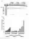 Fig. 04 - HAMMERHEAD RIBOZYMES
