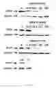 Fig. 10 - HAMMERHEAD RIBOZYMES