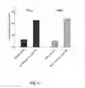 Fig. 14 - HAMMERHEAD RIBOZYMES