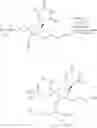 Fig. 64 - 5′ modified nucleosides and oligomeric compounds prepared therefrom