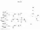 Fig. 03 - Targeting microRNAs for metabolic disorders