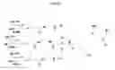 Fig. 05 - Targeting microRNAs for metabolic disorders