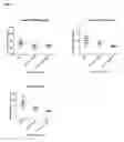 Fig. 08 - Targeting microRNAs for metabolic disorders