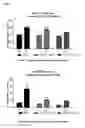 Fig. 10 - Targeting microRNAs for metabolic disorders